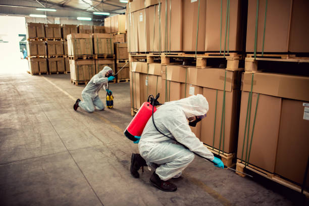 Best Residential Pest Control  in Sea Girt, NJ