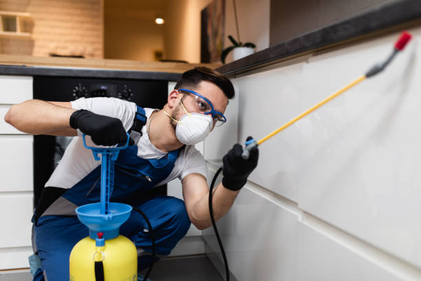 Best Affordable Pest Control Services  in Sea Girt, NJ