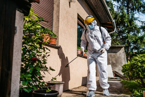 Wasp Removal Services in Sea Girt, NJ