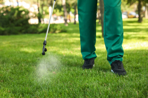 Professional Pest Control in Sea Girt, NJ