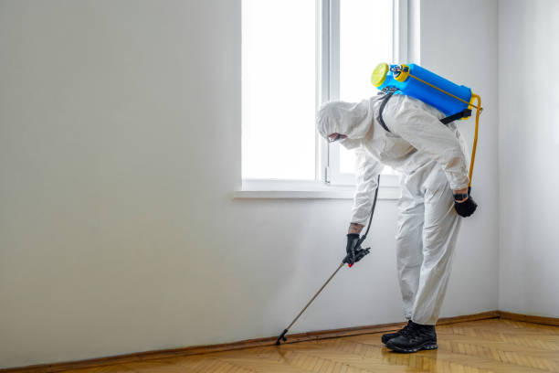 Pest Control for Restaurants in Sea Girt, NJ