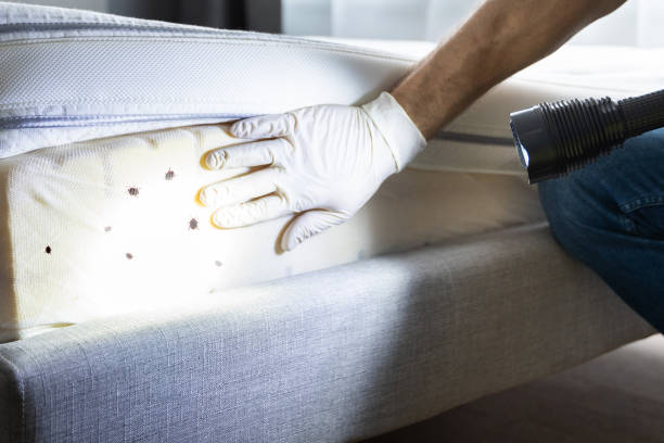 Best Pest Removal Services  in Sea Girt, NJ